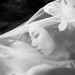 【SYDPHOTOS婚纱】最优雅头纱大集合