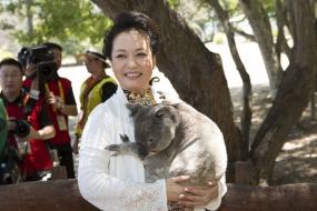 【澳洲时事】彭丽媛赴澳参加G20峰会 着花色旗袍笑抱考拉