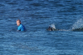 【新闻】澳大利亚冲浪冠军比赛中遭鲨鱼袭击海中搏斗逃生，堪比好莱坞大片