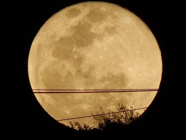 【赏月】昨晚的悉尼超级月亮你看到了吗？小天使也来凑热闹，再来感受下（多图）