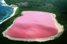 风景|澳洲粉色湖，治愈少女心