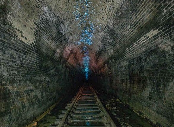 悉尼海伦斯堡隧道群：蓝色萤火虫点亮百年古老隧道