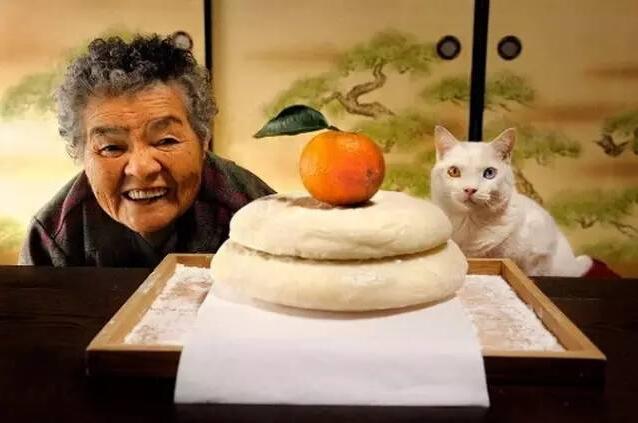 日本老奶奶收养了一只耳聋小猫，结局令无数人落泪！