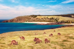澳洲网友心目中最美丽的五个小岛