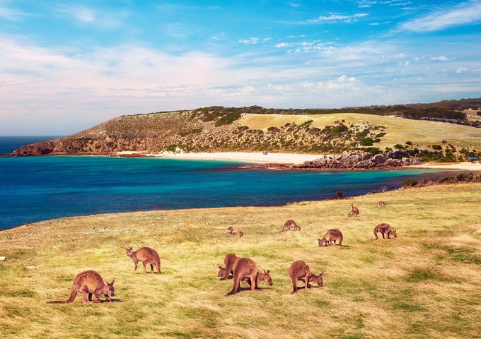 澳洲网友心目中最美丽的五个小岛